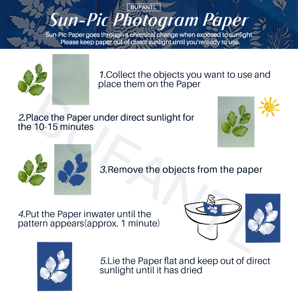 Cyanotype Paper 12 Sheets Refi - Photography Lighting For Beginners 评论和价格