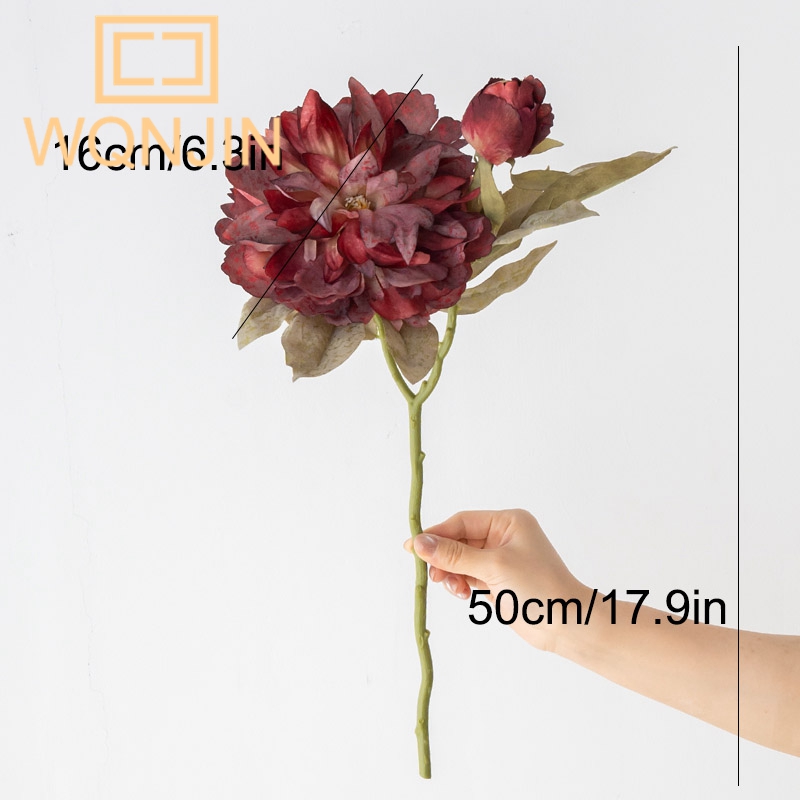 1PC Light Luxury 2 Head Big Pe - Photography Lighting Simulator Free 评论和价格