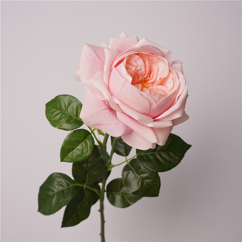 3pcs Moisturizing Rose Simulat - Photography Lighting Simulator Free 评论和价格