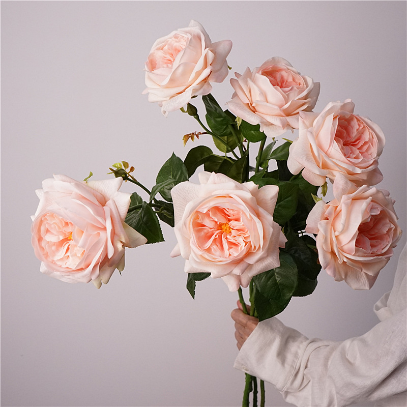 3pcs Moisturizing Rose Simulat - Photography Lighting Simulator Free 评论和价格