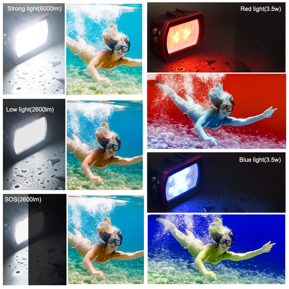 Seafrogs Aluminum LED Diving L - Photography Lighting Brand 评论和价格