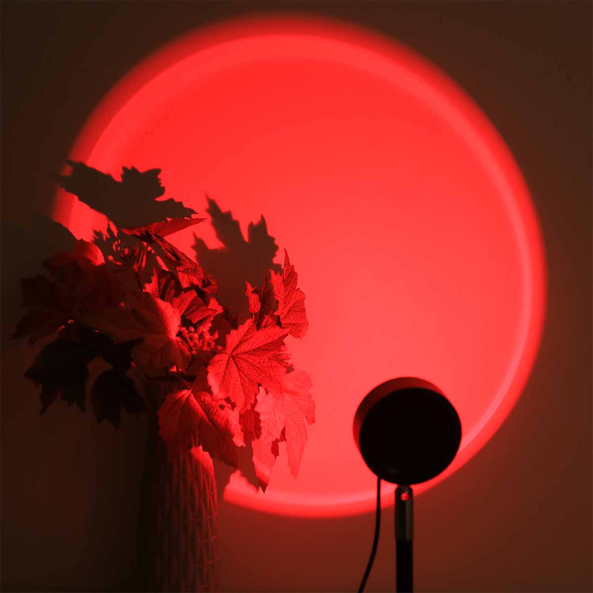 Sunset Projection Light Remote - Photography Lighting Setup 评论和价格